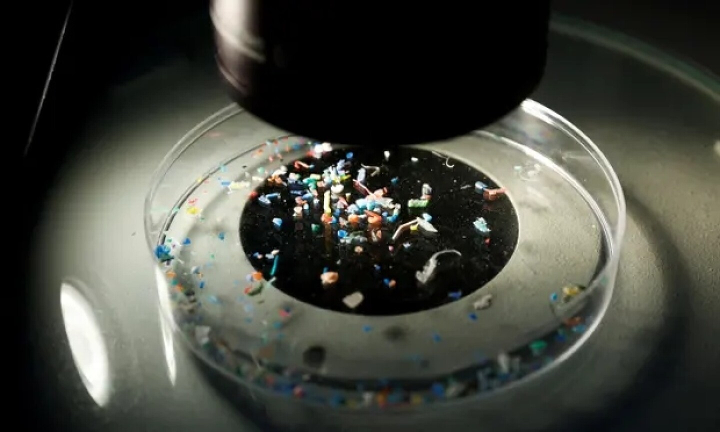 plastico-cerebro