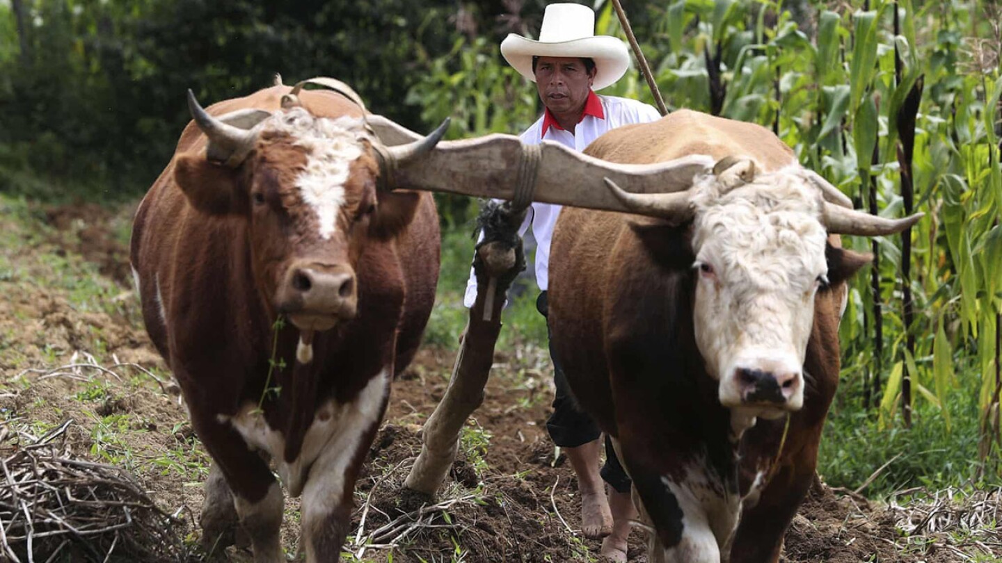 Pedro Castillo