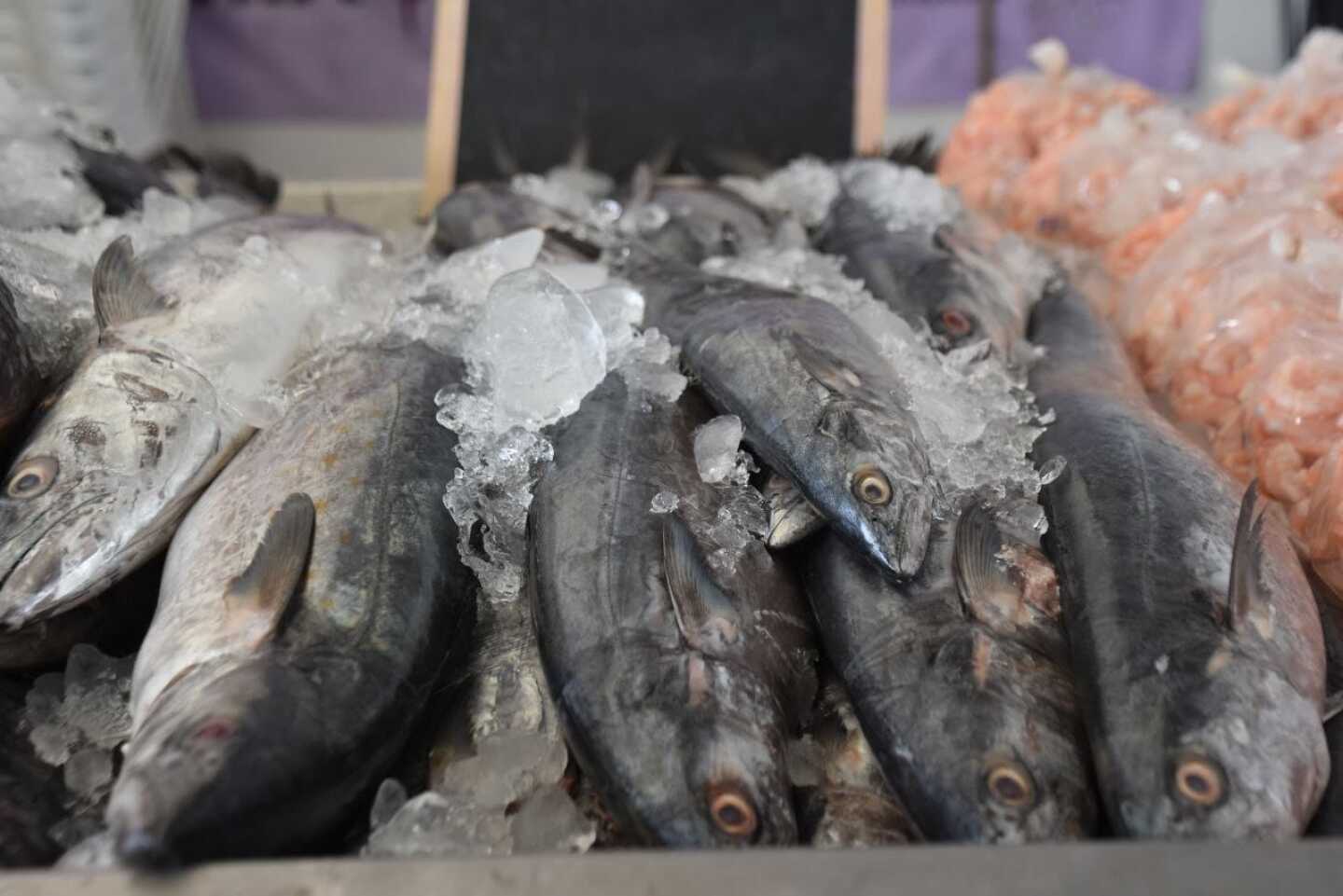 Feria del pescado y del marisco