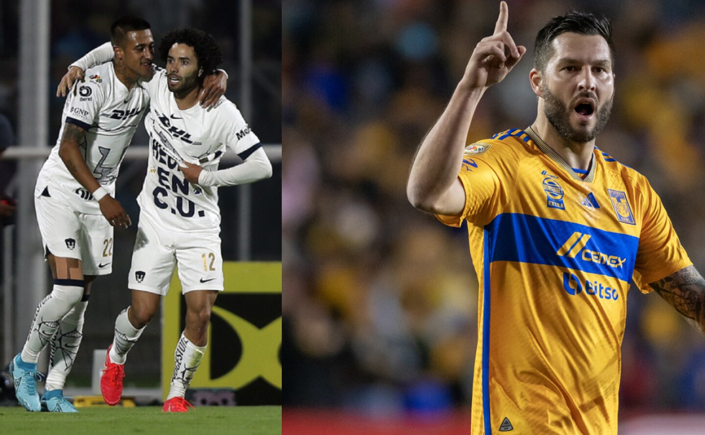 pumas-tigres-titulos-desde-2011