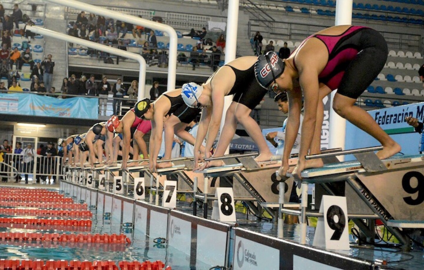 natacion_campeonato