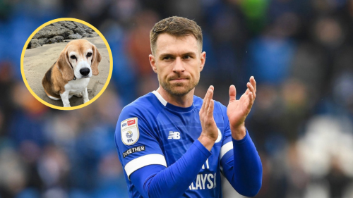 aaron ramsey pierde a halo.png