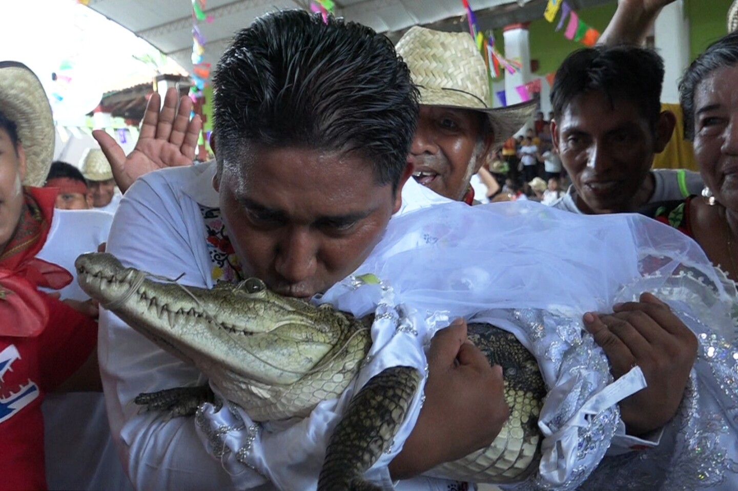 matrimonio con un caimán