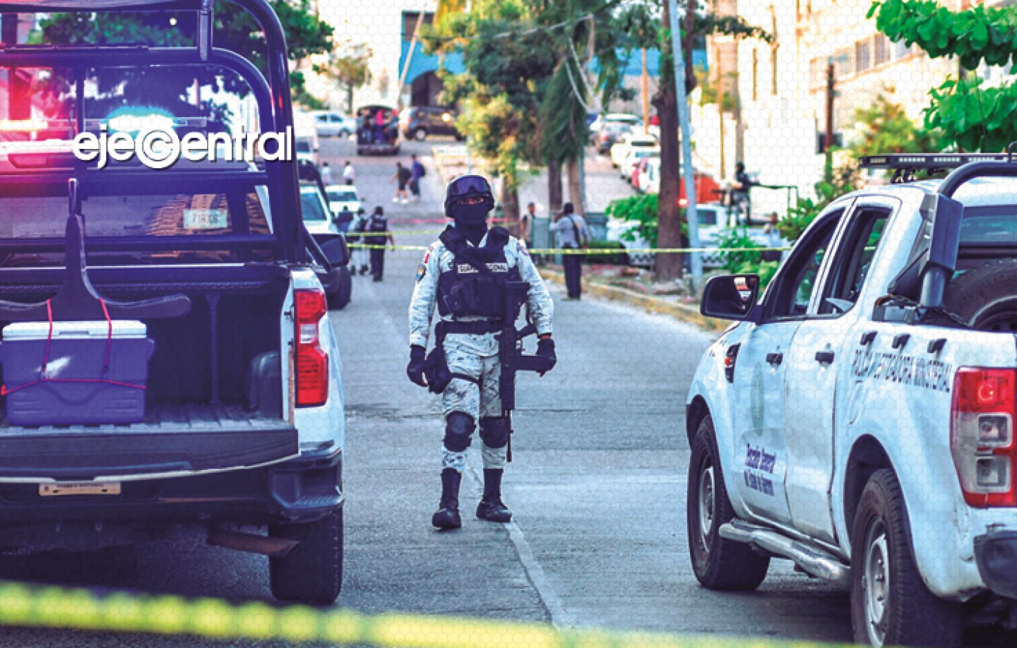 Fuerzas federales