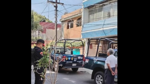detienen a hombre por plantar un árbol.jpg