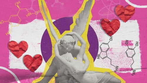 amor segun la ciencia