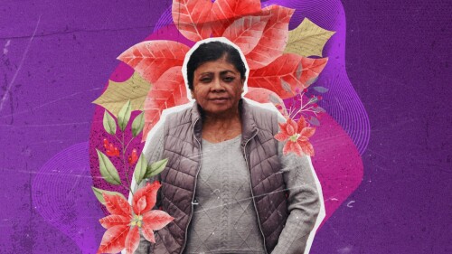 Elisa-Xolalpa