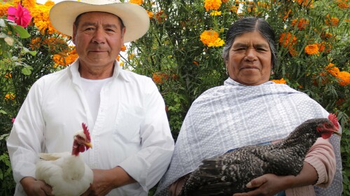 documentos-pension-bienestar