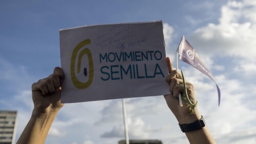movimiento-semilla