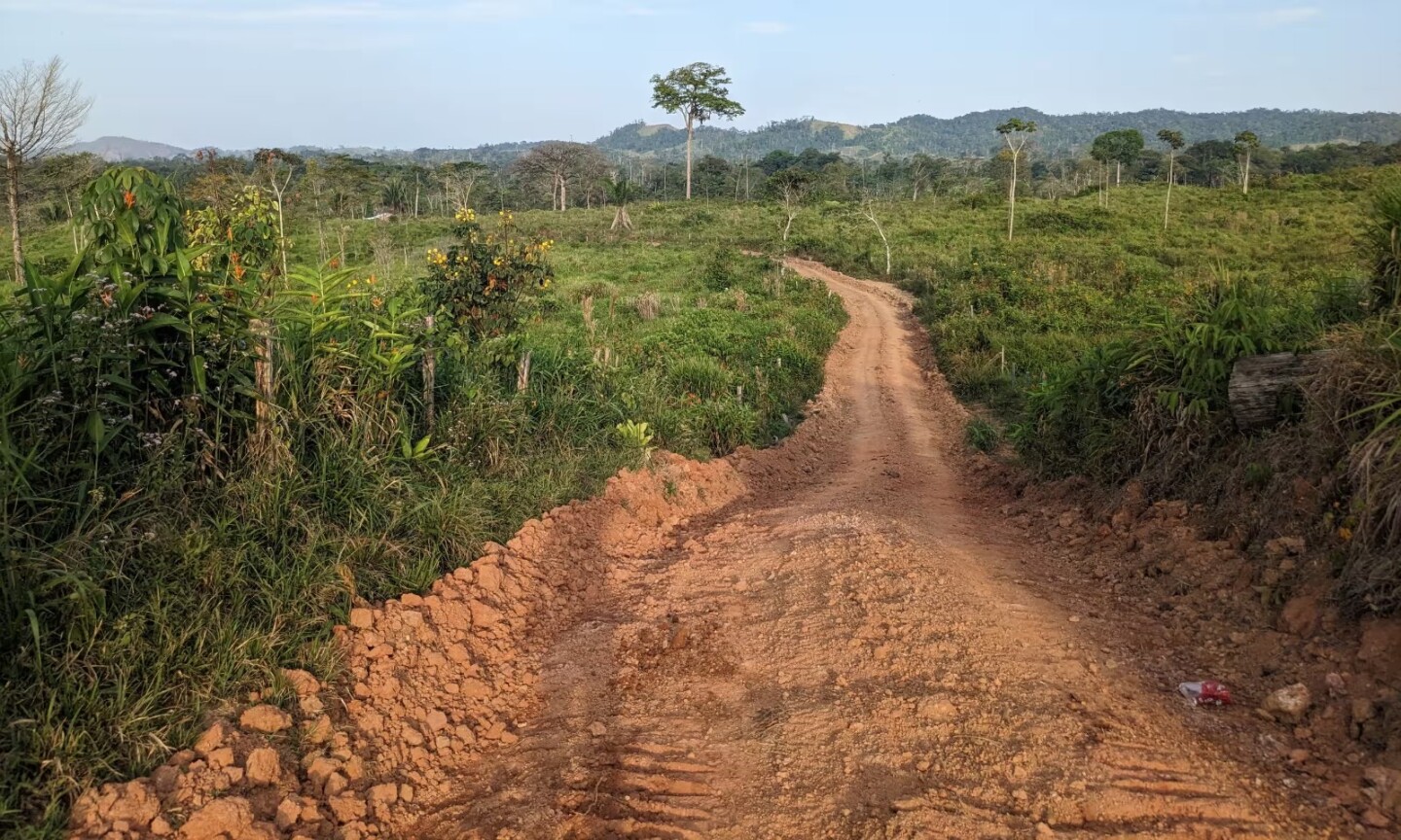 Narcocarretera creadora de caos en una selva hondureña