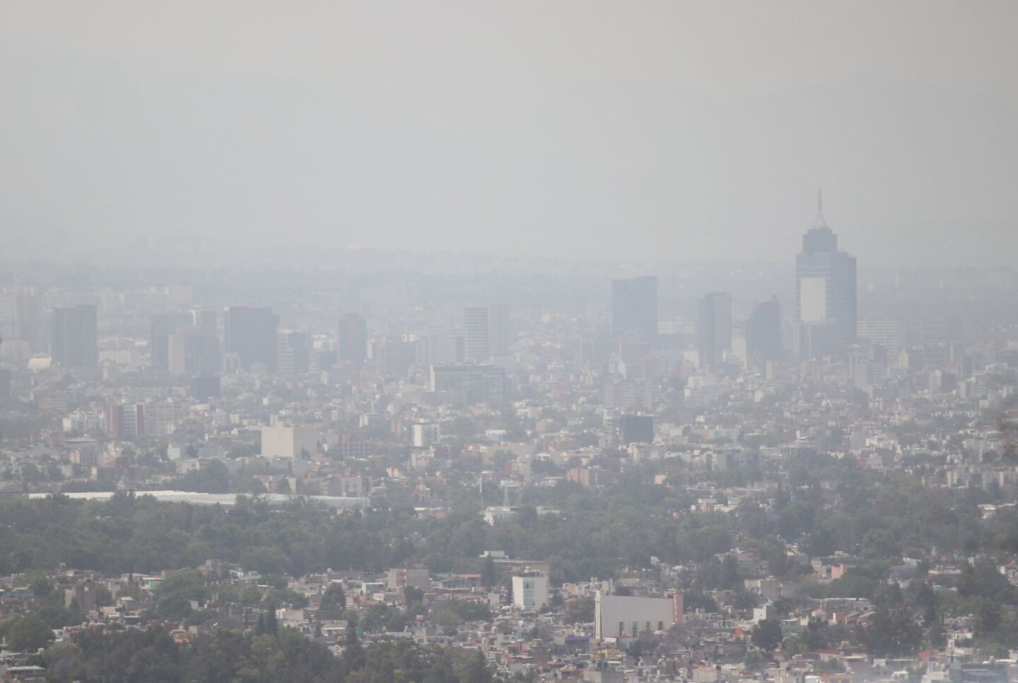 contingencia ambiental