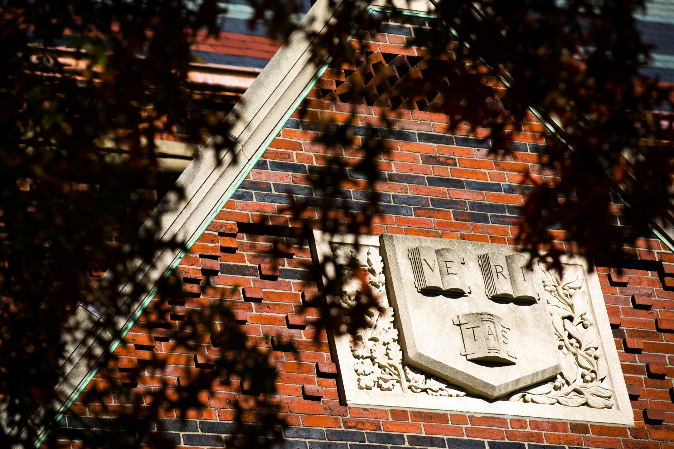 UNIVERSIDAD DE HARVARD.jpg
