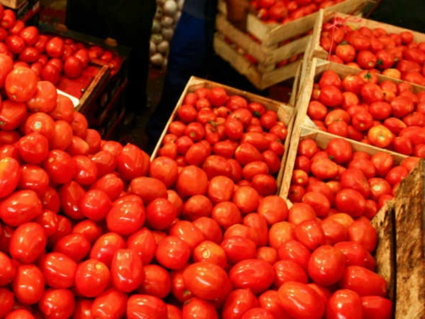 Jitomate inflación cortada