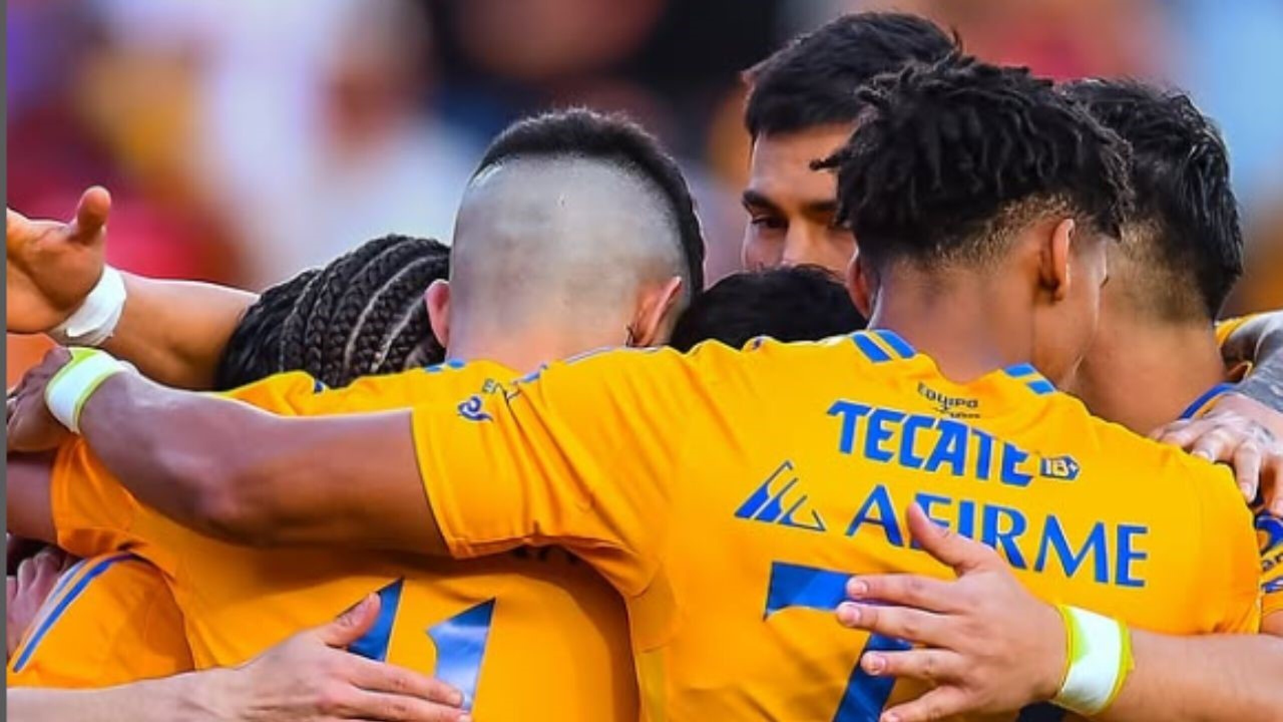 tigres.jpg