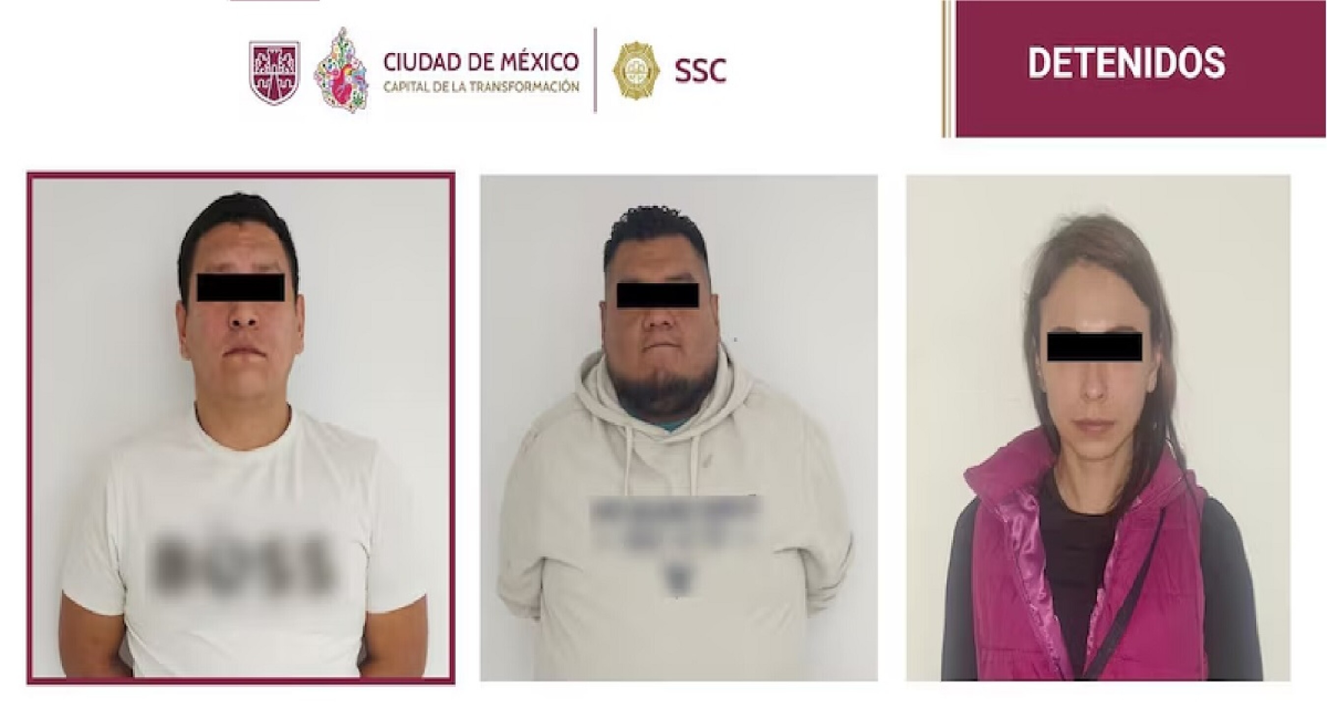 Celula de la familia Michoacana H1A1 .jpg