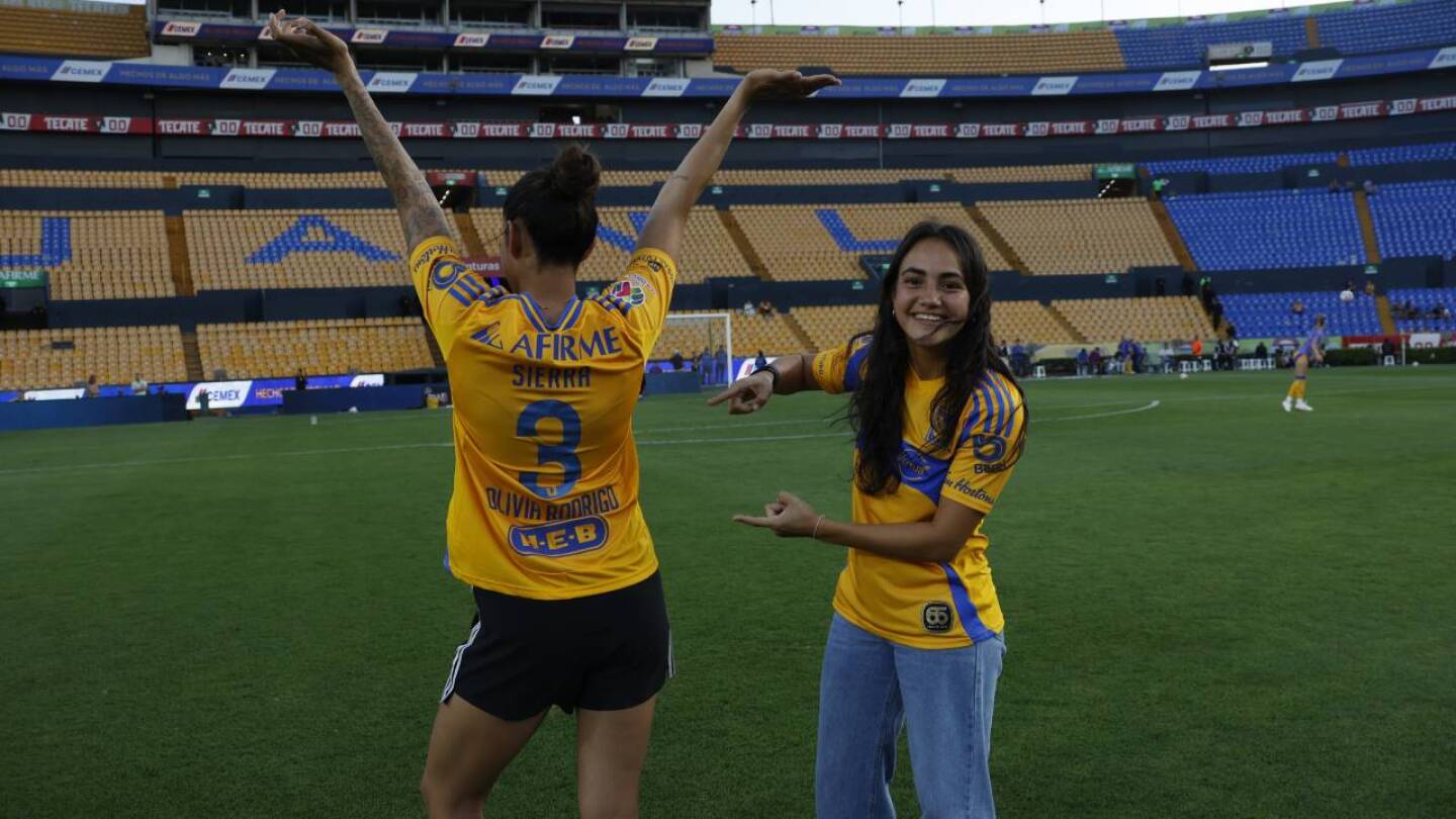 tigres pal norte.jpg