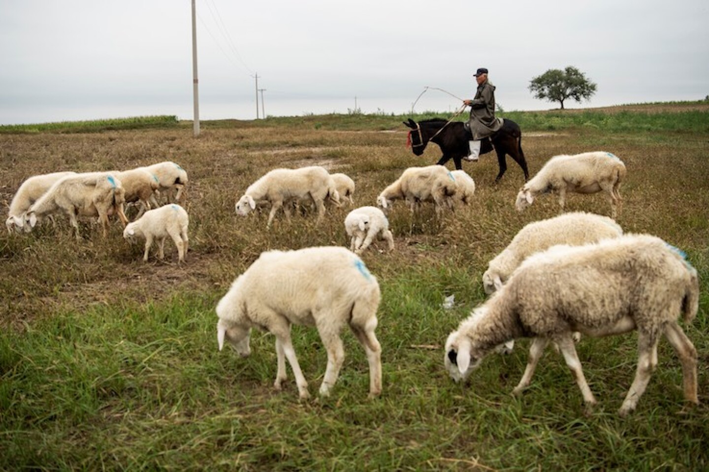 CHINA-AGRICULTURE