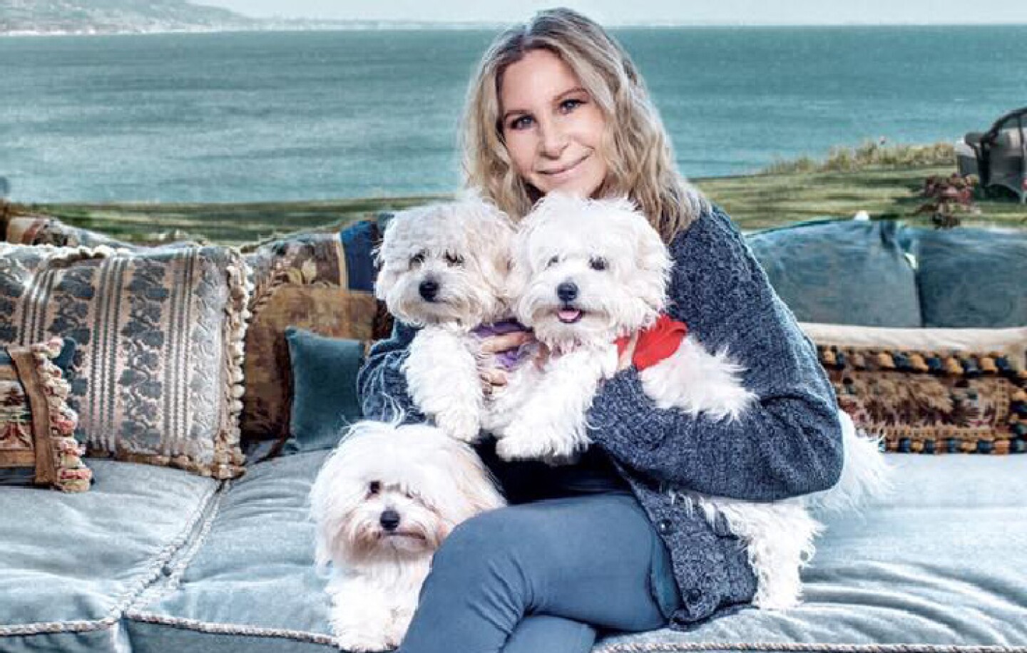 barbara-streisand-perros-clonados