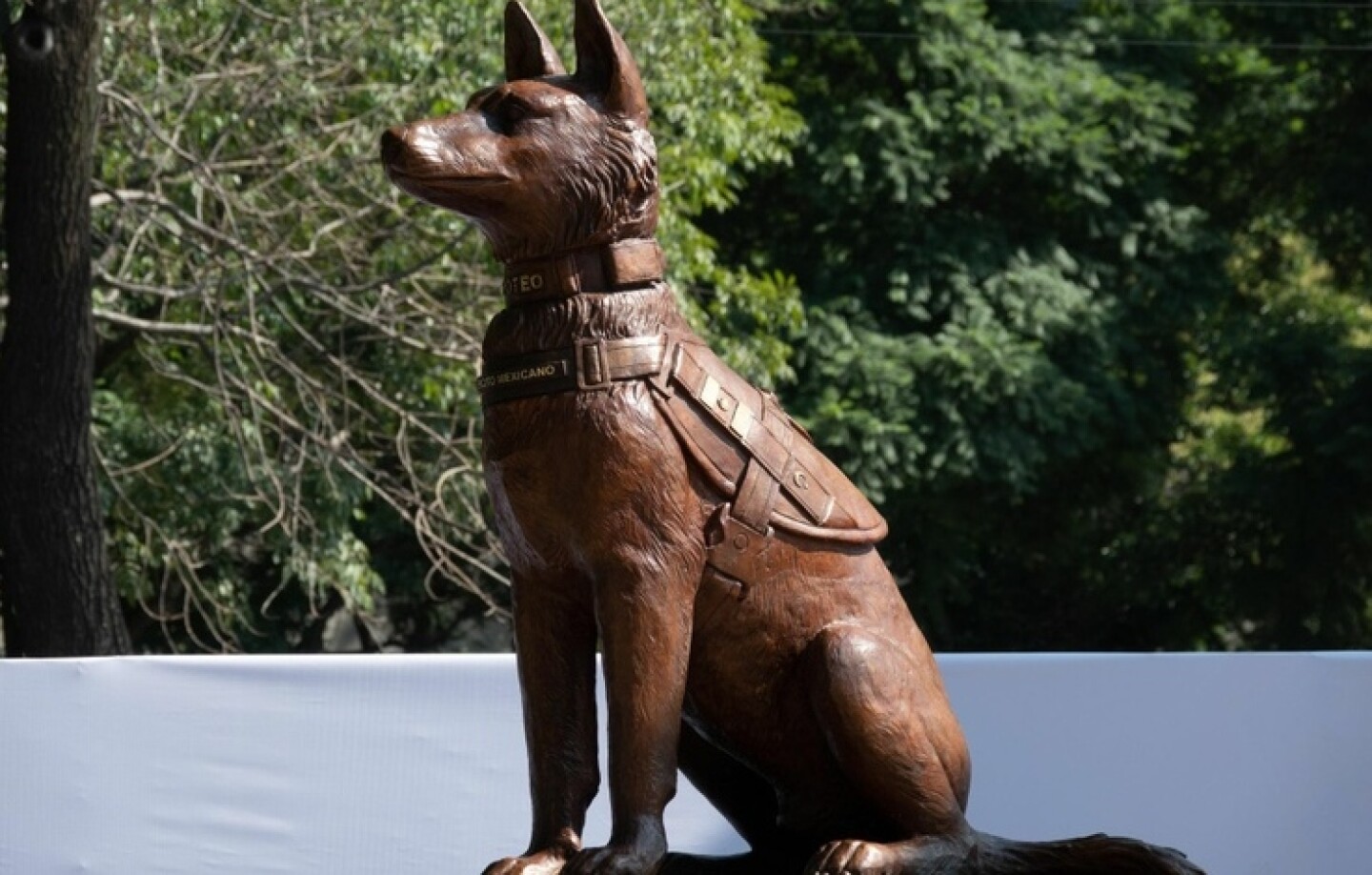 Proteo monumento Marte