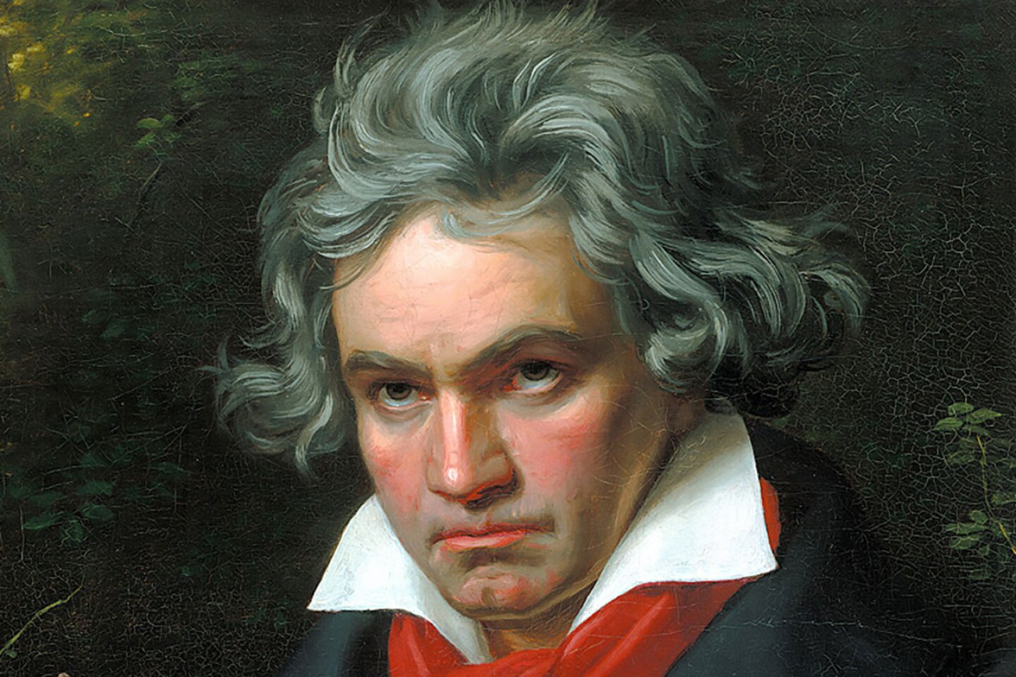 Beethoven-adn-hepatitis
