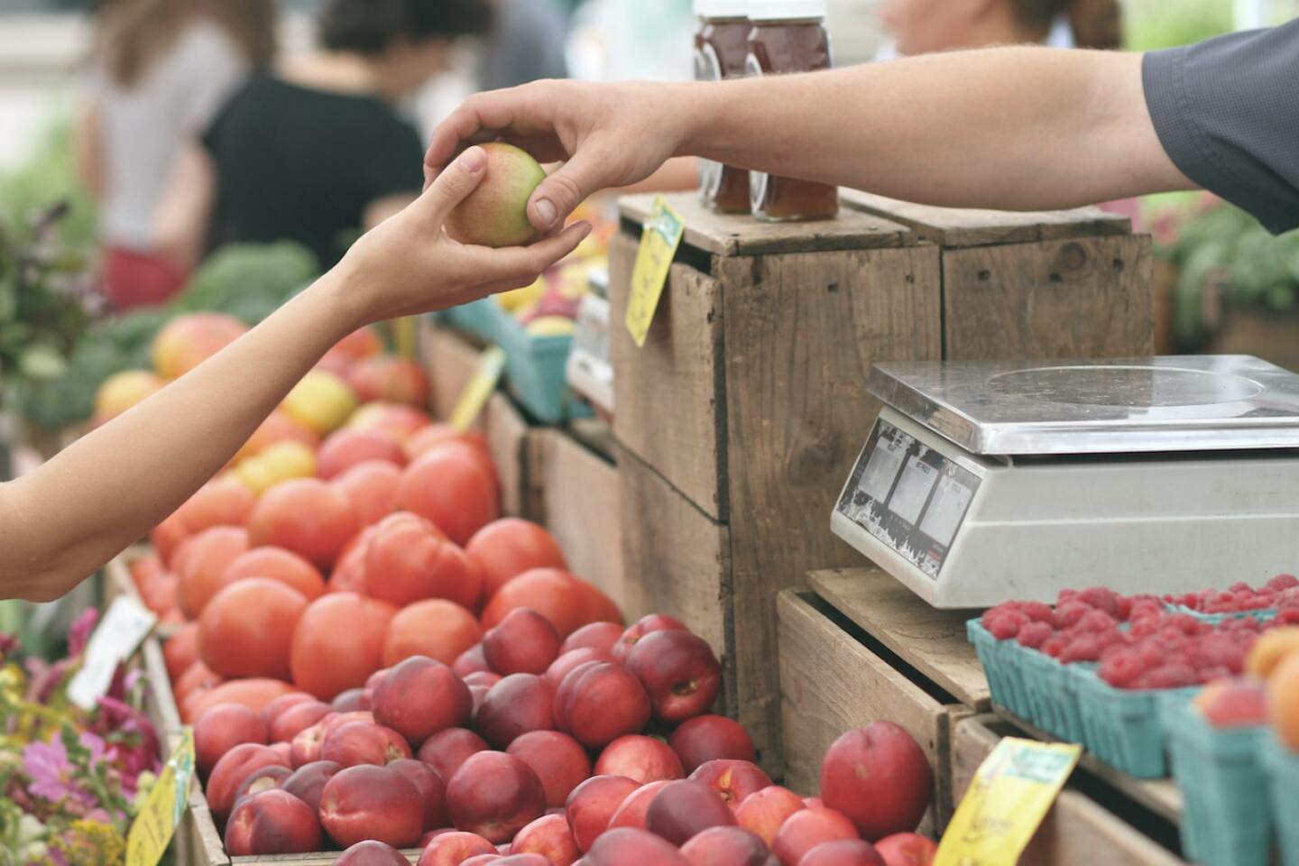 la lista desperdicio de alimentos