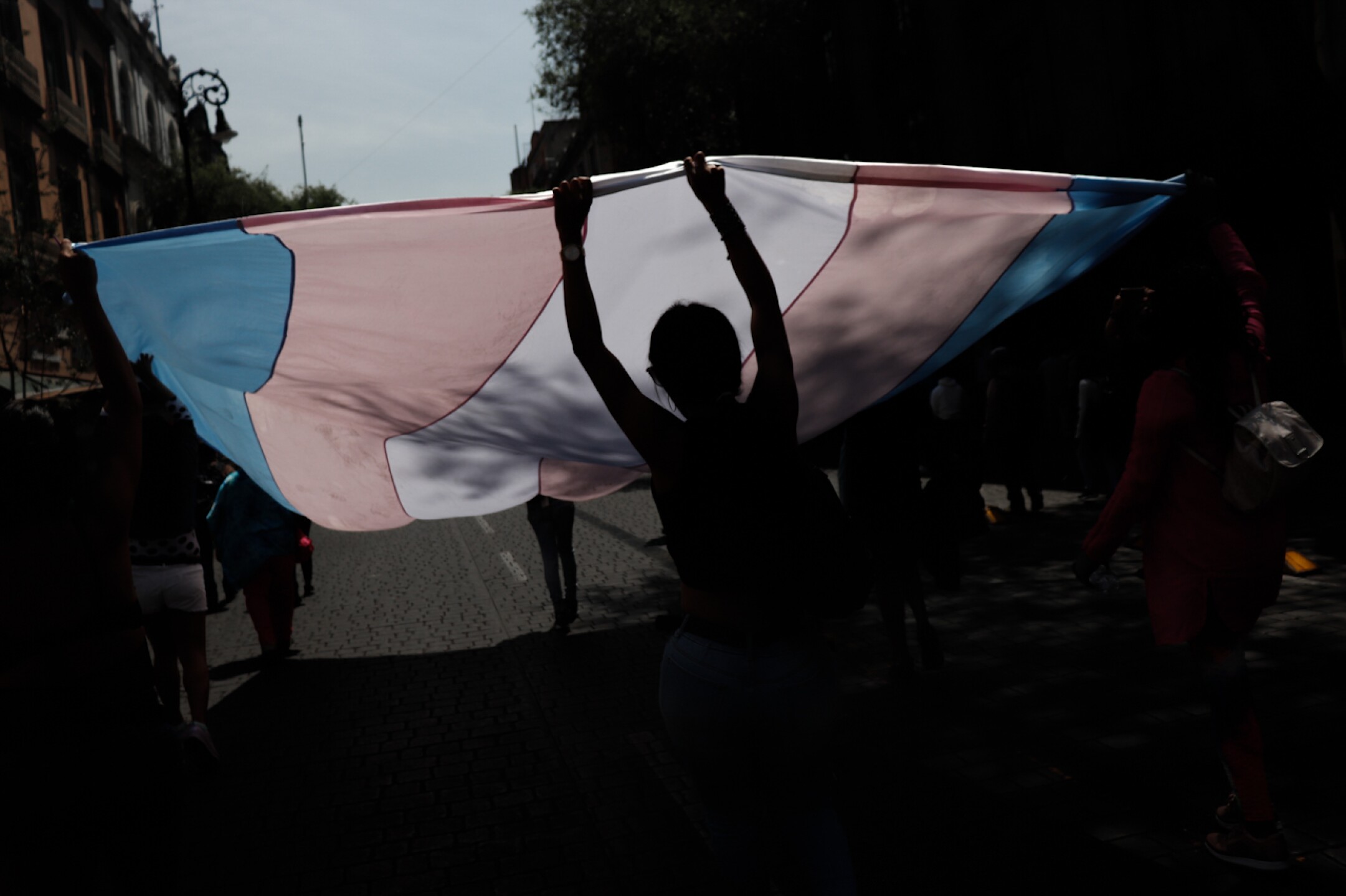 dia-visibilidad-trans-1