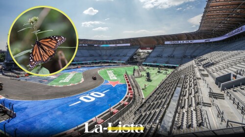 F1 GRan Premio de México 2025 Estadio GNP activación conservación mariposa monarca.jpg