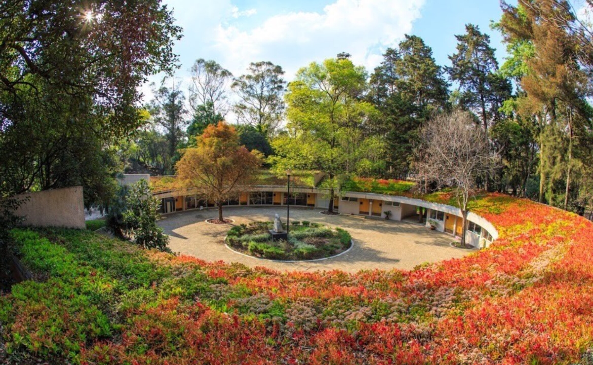 bosque_de_chapultepec