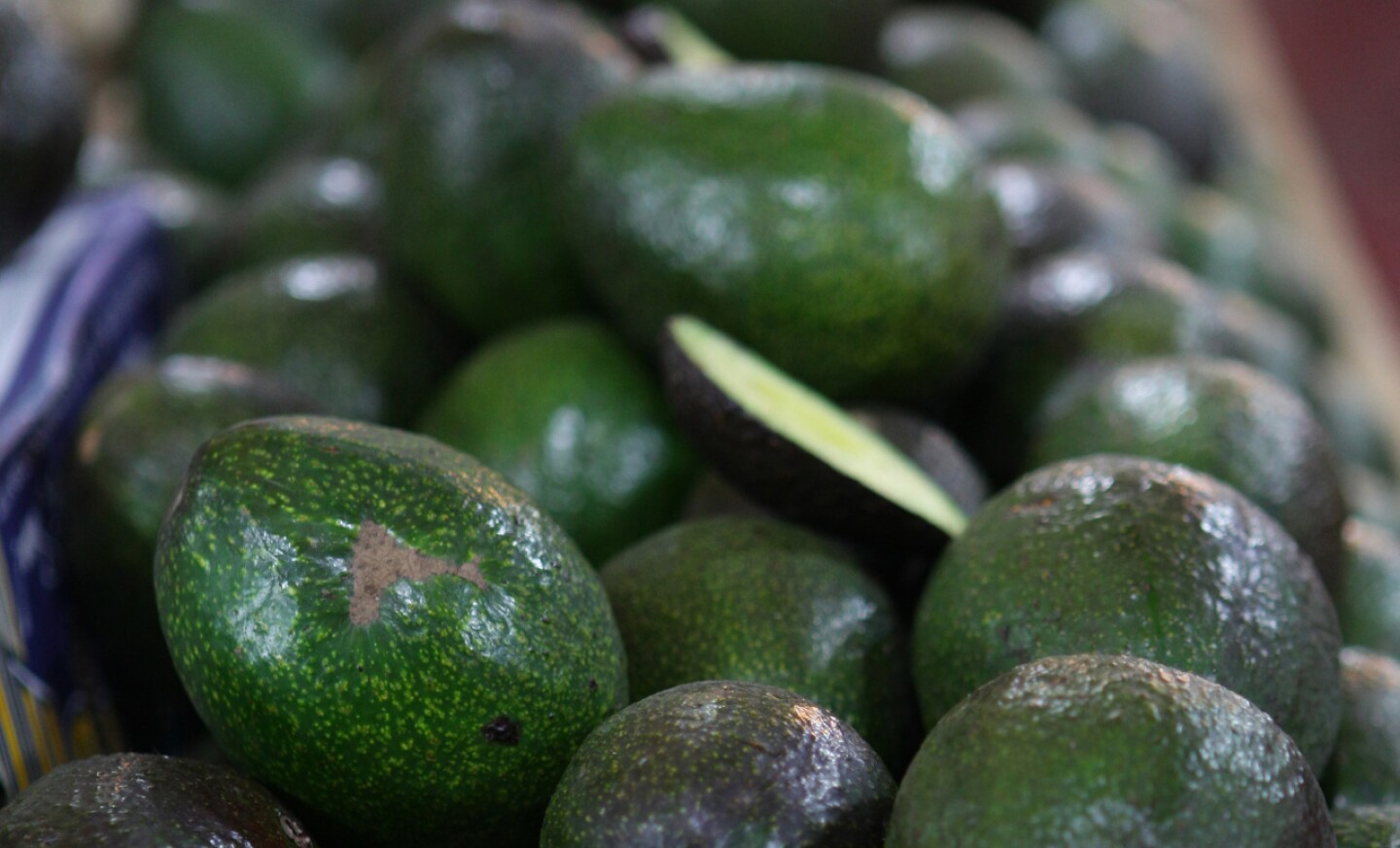 aguacate-michoacan-estados-unidos-2