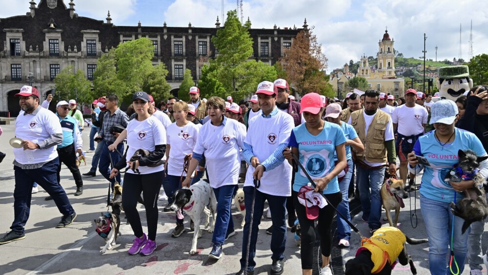 WhatsApp Image 2024-07-21 at 3.34.36 PM (2).jpeg