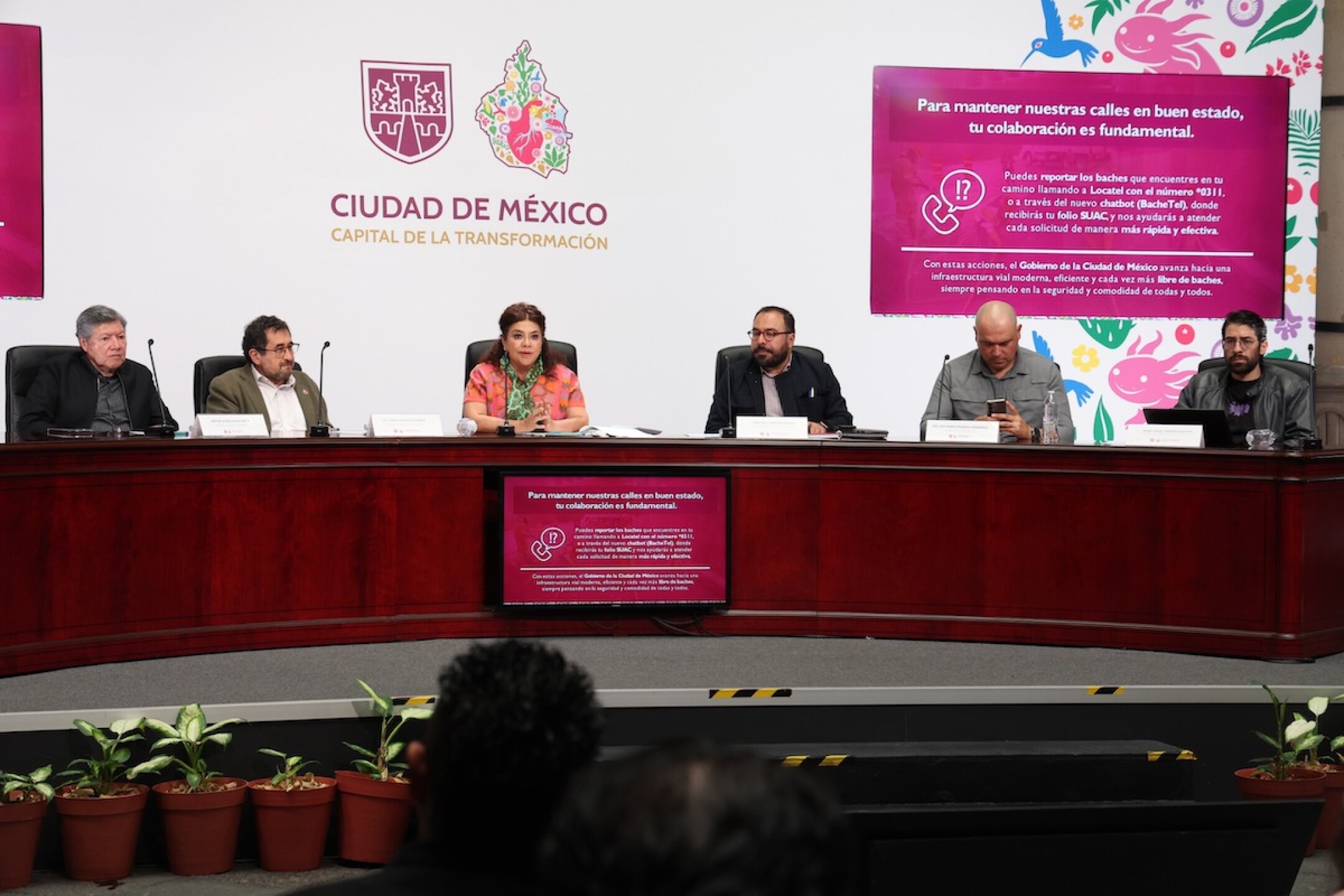 Programa Integral de Mantenimiento de la Carpeta Asfáltica