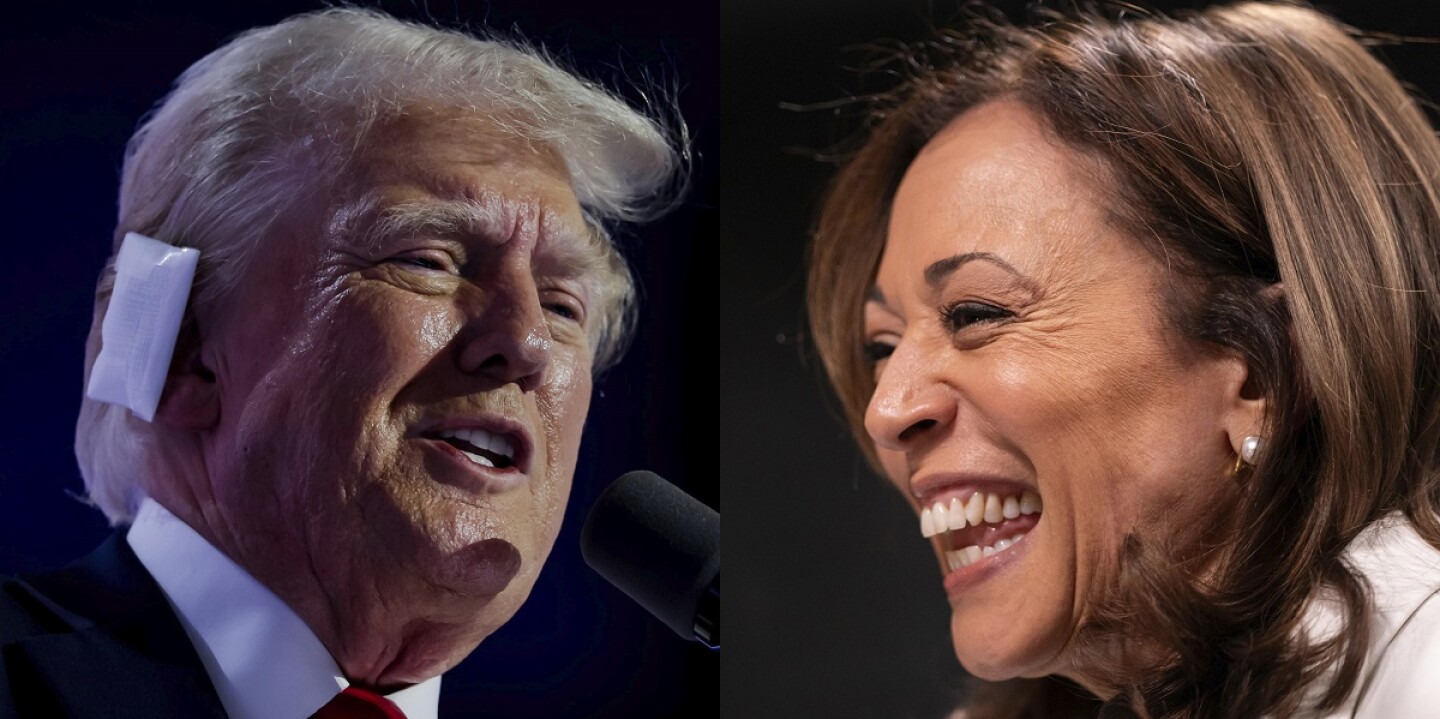 harris trump