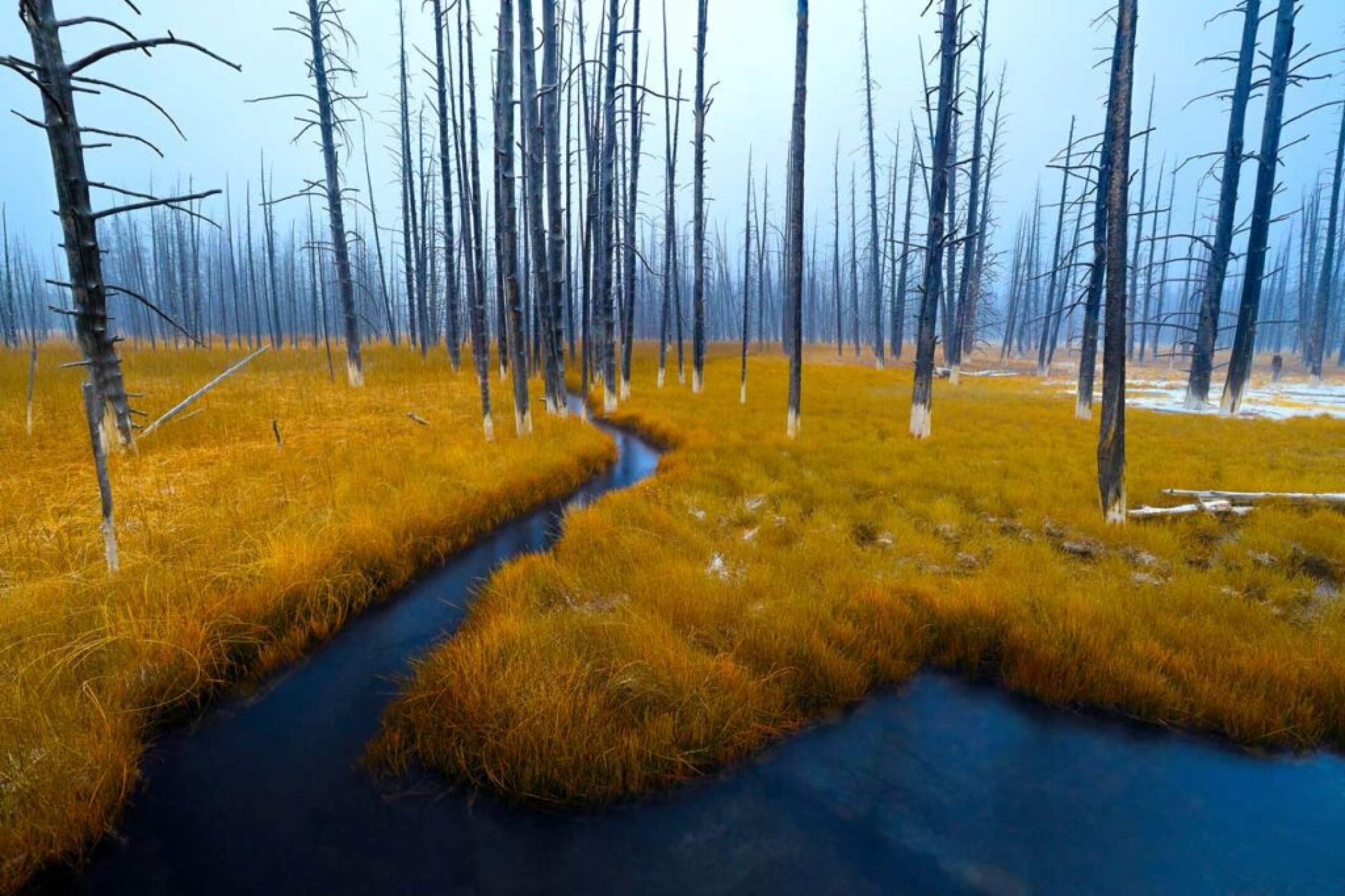 Art-Heals-Protect-the-Sacret-9-1024x682