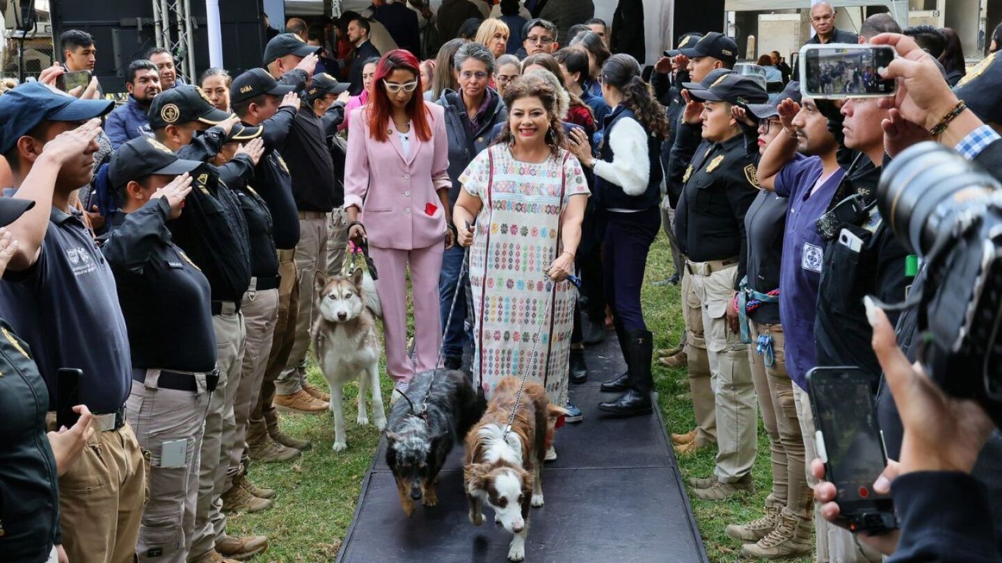 Plan Bienestar Animal CDMX.jpg