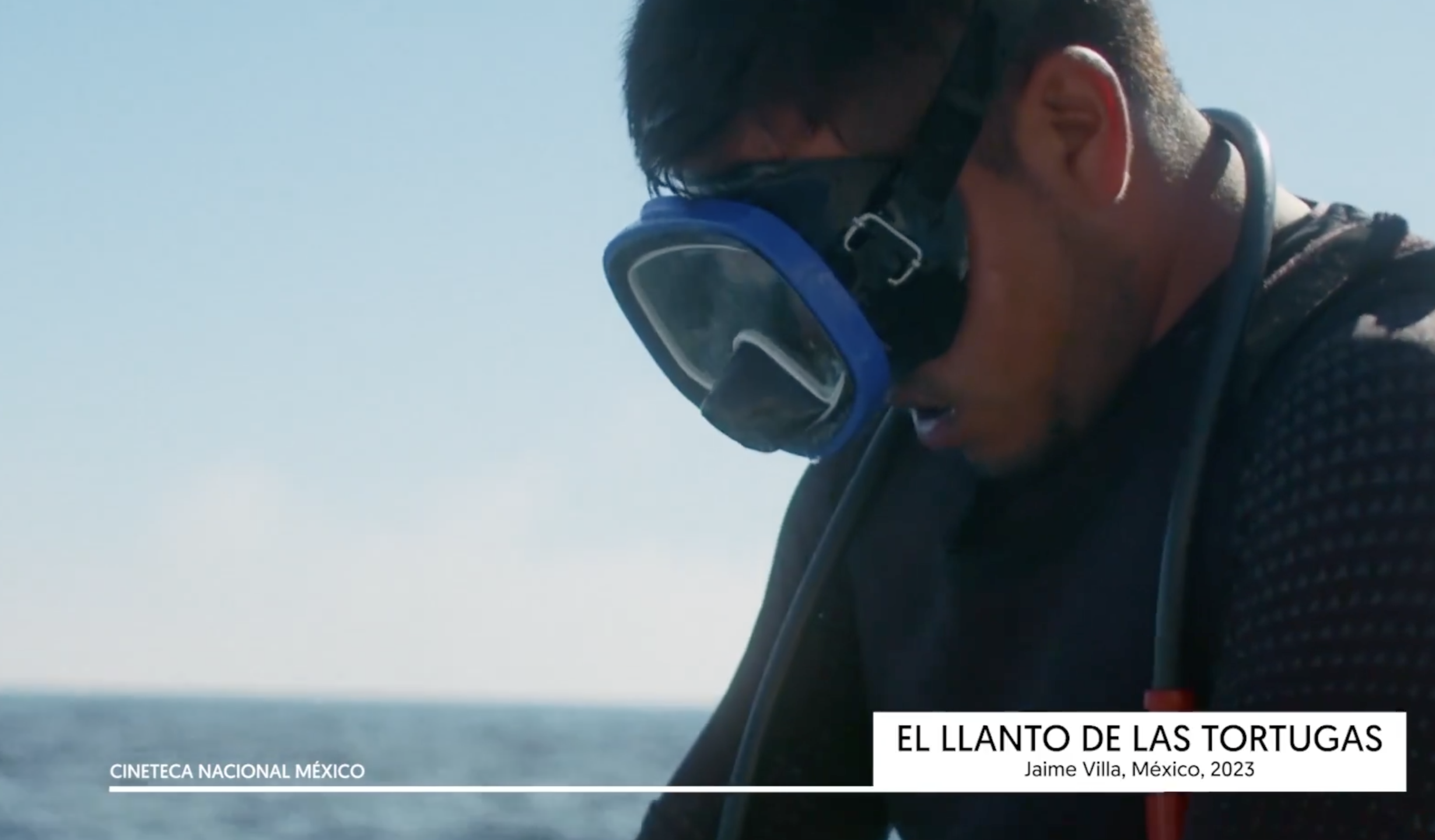 El llanto de las tortugas.png