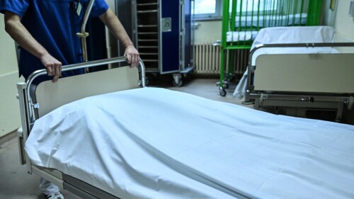 meningitis-efe