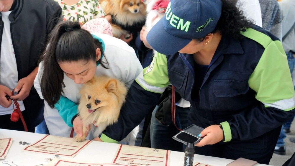 WhatsApp Image 2024-07-21 at 3.34.38 PM (3).jpeg