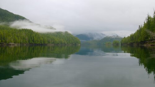 Urgen a cuidar la biodiversidad