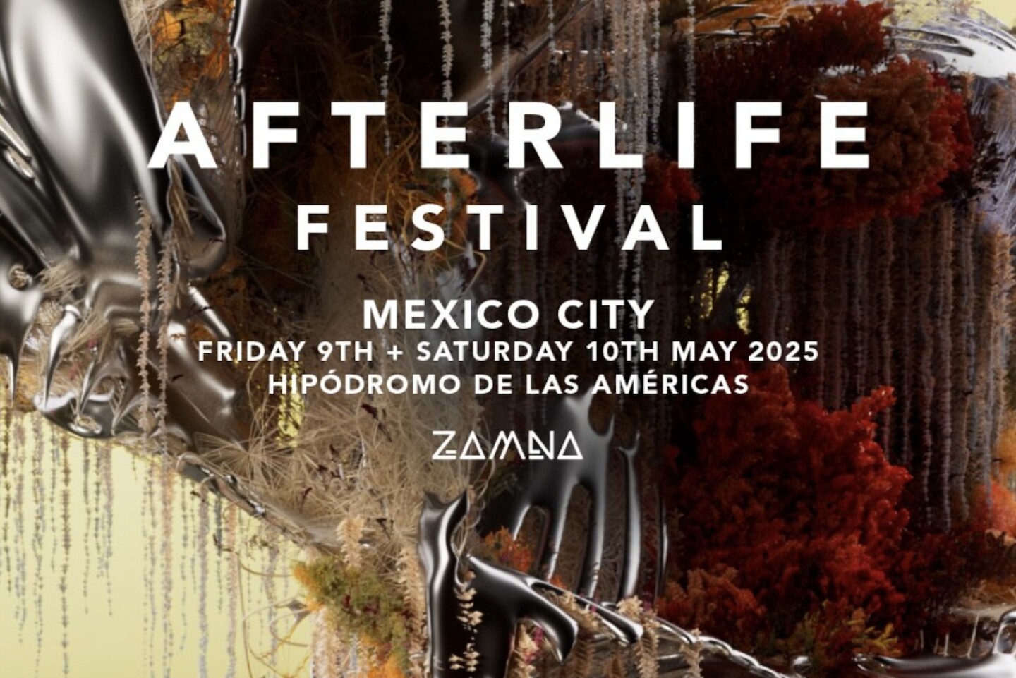 afterlife mexico precios boletos ticketmaster 2025.jpg