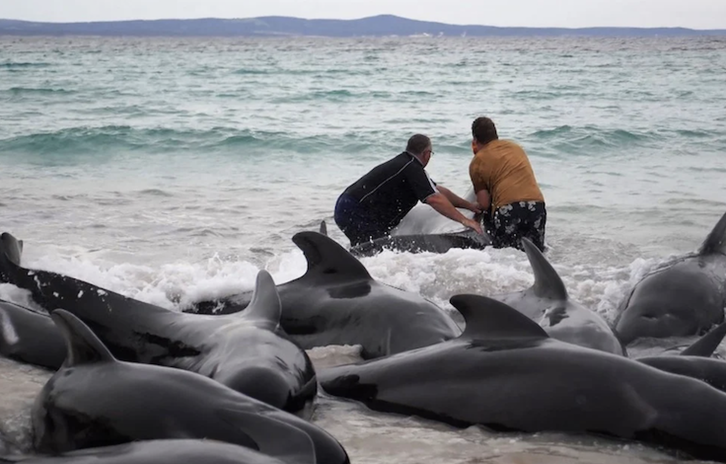 Captura de Pantalla 2023-07-26 a la(s) 7.25.03