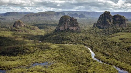 disputa_en_colombia_por_el_hallazgo_de_cuatro_niños_vivos_en_la_selva_tras_un_accidente_aéreo