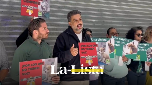 maltrato-animal-en-tiendas-de-mascotas-clausuran-de-manera-simbolica-petland-en-santa-fe-esto-es-lo-que-sabemos.png