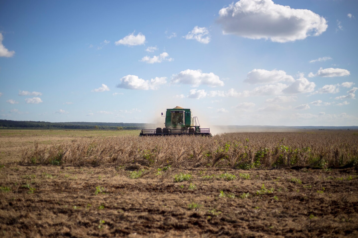 GOLDMAN Siembra de Soya en campeche