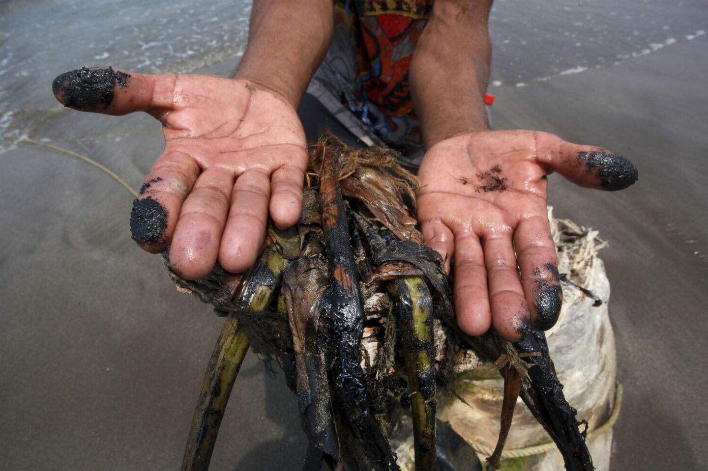 ALVARADO, VERACRUZ, 22ABRIL2015.- Pescadores de la zona de Alvarado denunciaron que desde hace varios días han aparecido manchas de chapopote en las playas, lo cual ha generado contaminación y echado a perder sus redes de trabajo. Plantas de la zona se han visto afectadas y algunos peces muertos con rastros de combustible, el cual atribuyen a algún derrame de la paraestatal Petróleos Mexicanos. FOTO: FÉLIX MÁRQUEZ /CUARTOSCURO.COM
