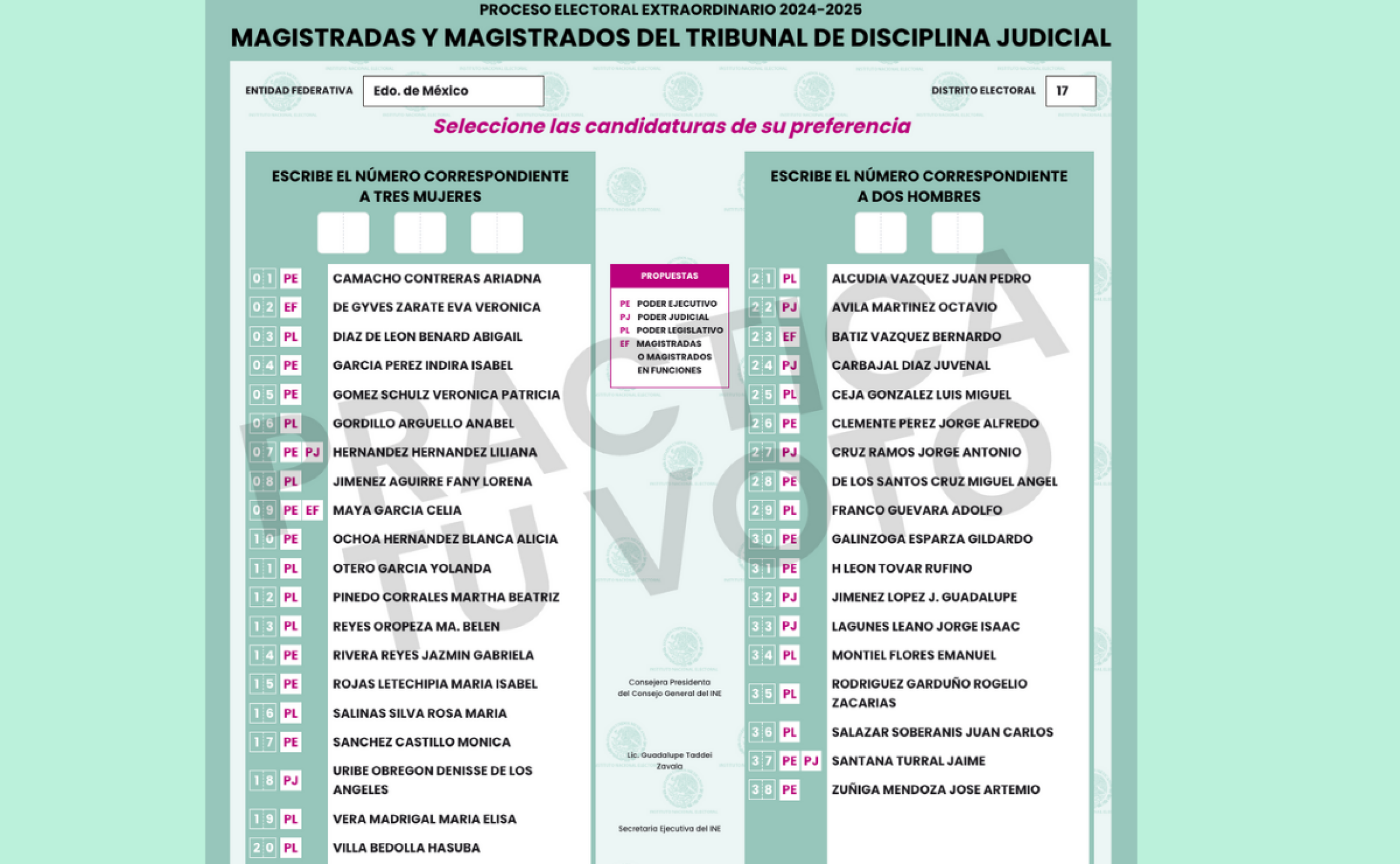 boleta-verde-de-la-eleccion-judicial-2025-para-que-sirve.png