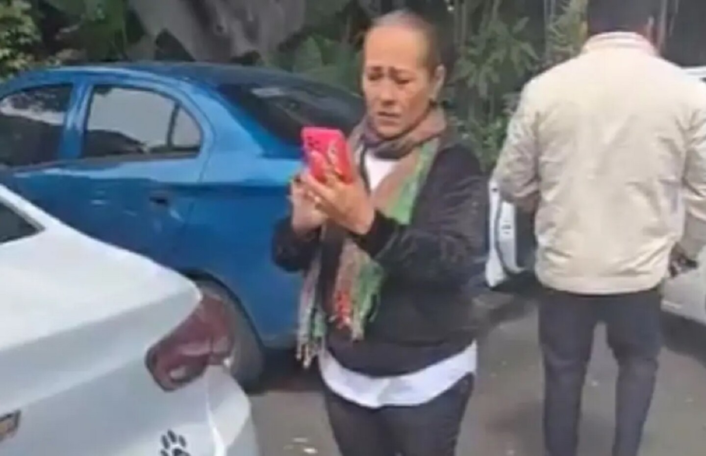 Lady PasoPeatonal.jpg