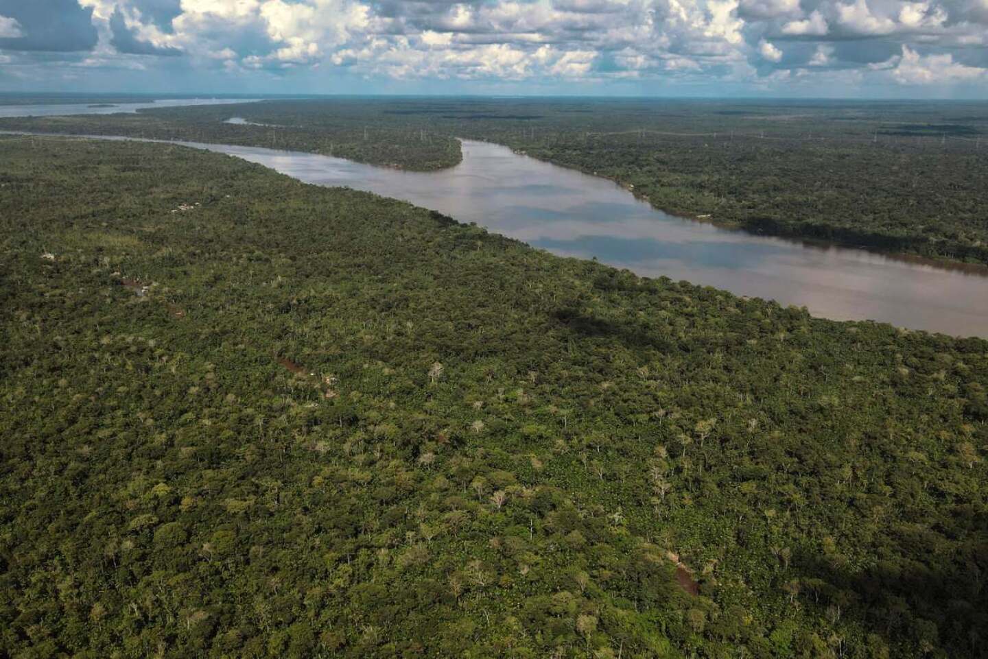 Amazonas