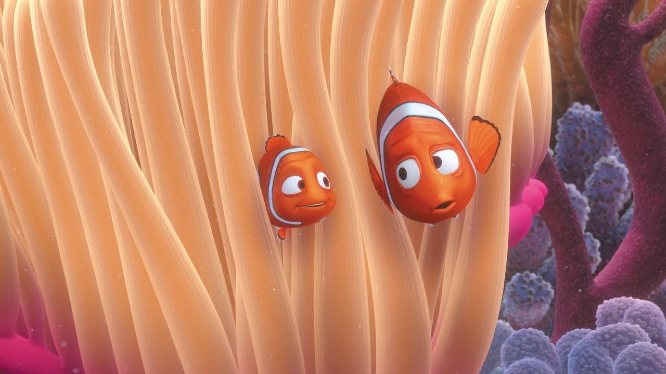 buscando-nemo-1