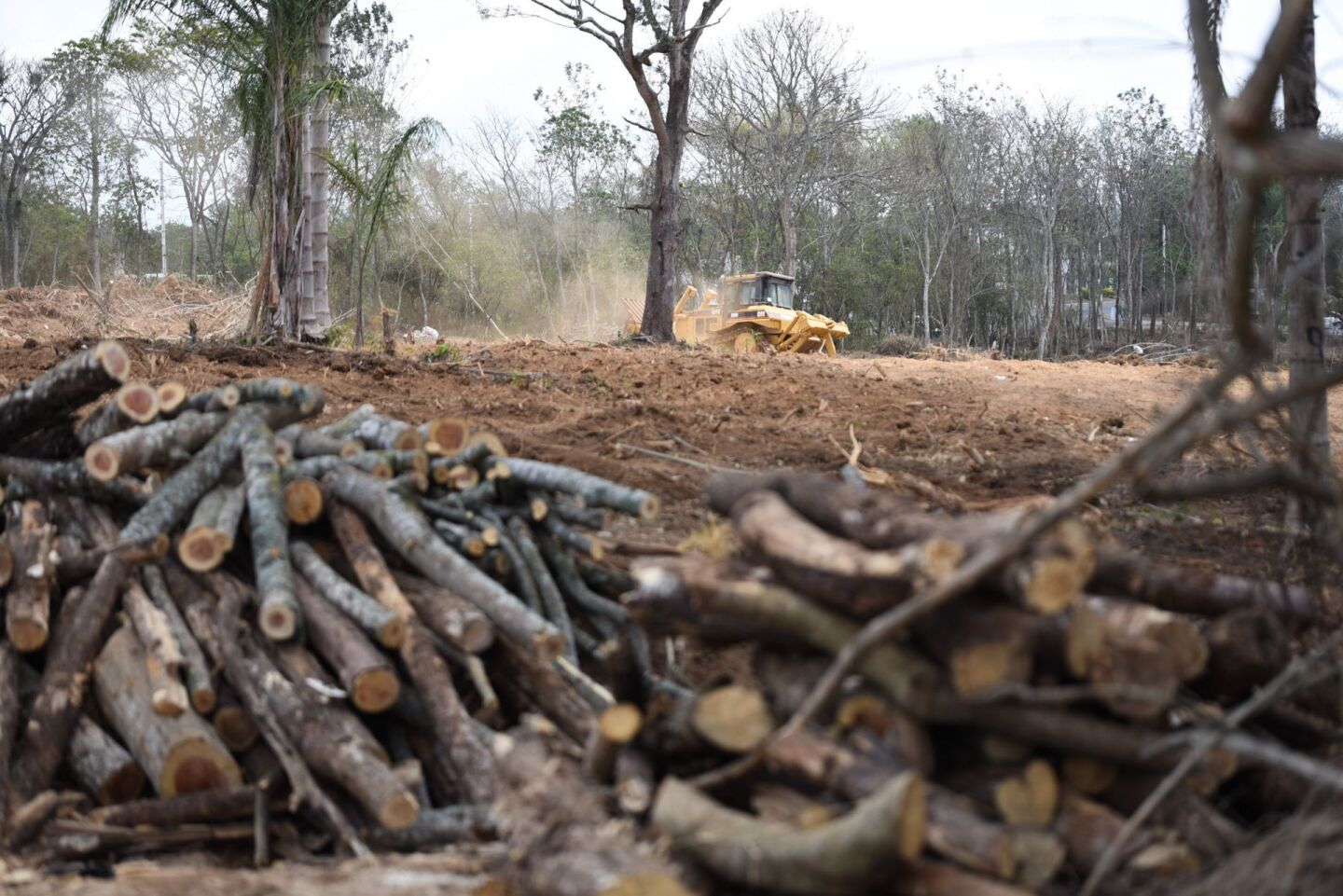 violencia-ambientalistas-mexico