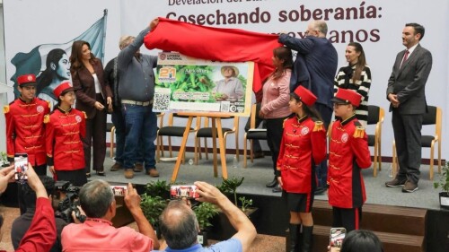 sorteo-mayor-3977-donde-ver-en-vivo.jpeg